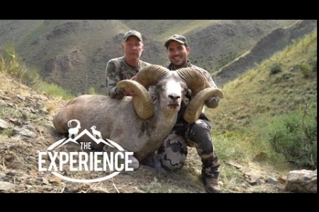 Hunting  Argali & Ibex in Mongolia